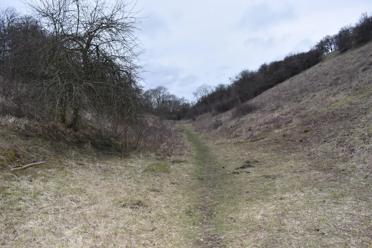 JACKO OUTDOOR ADVENTURES