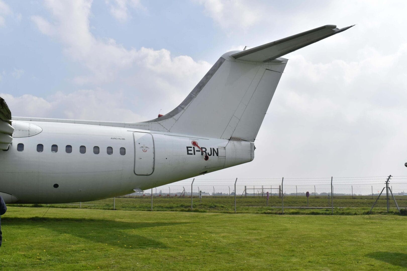 Airplane tail on grassy field, cloudy sky.