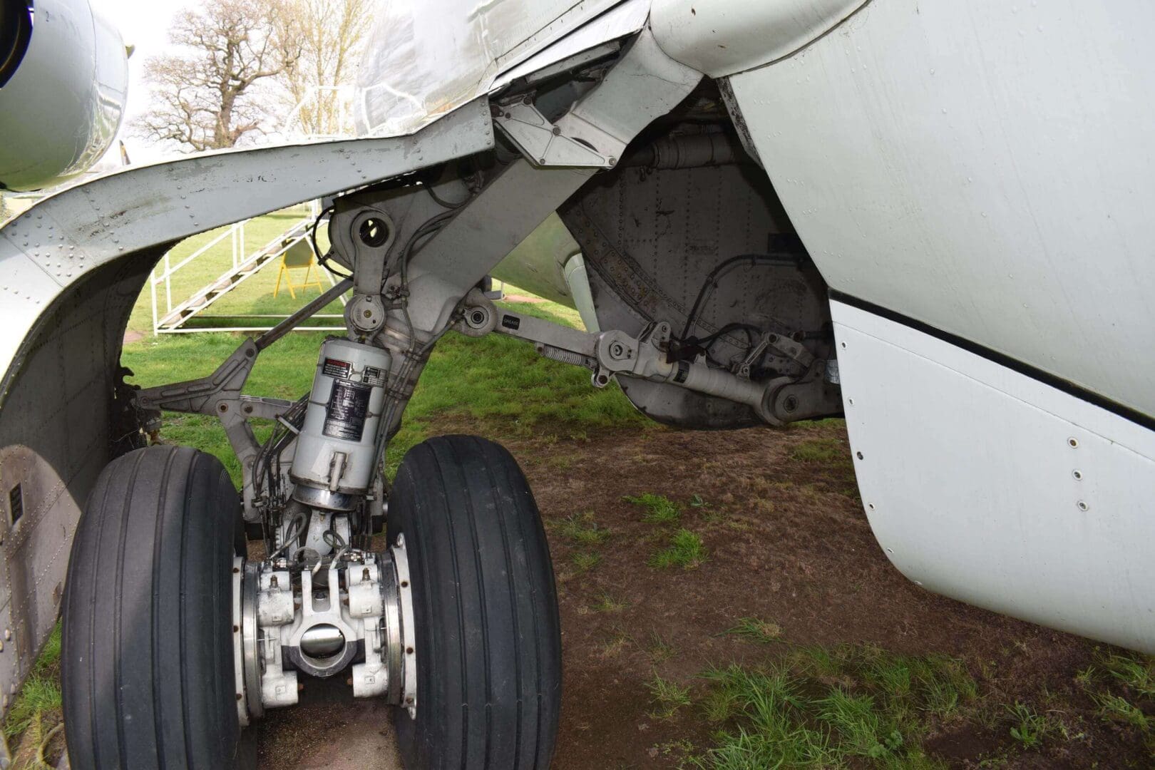 Airplane landing gear on grassy ground.