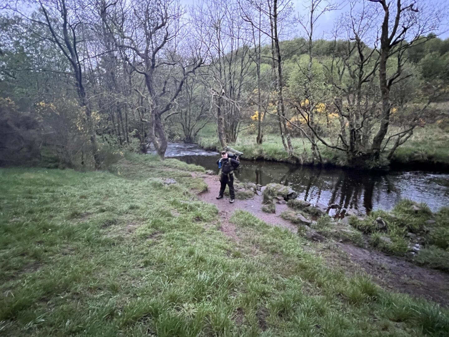 Person hiking beside a tranquil forest stream.