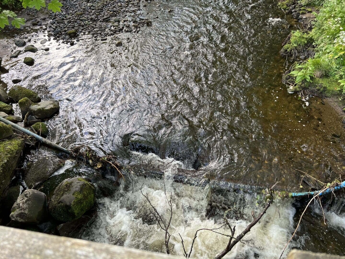Small river with rocks and flowing water.
