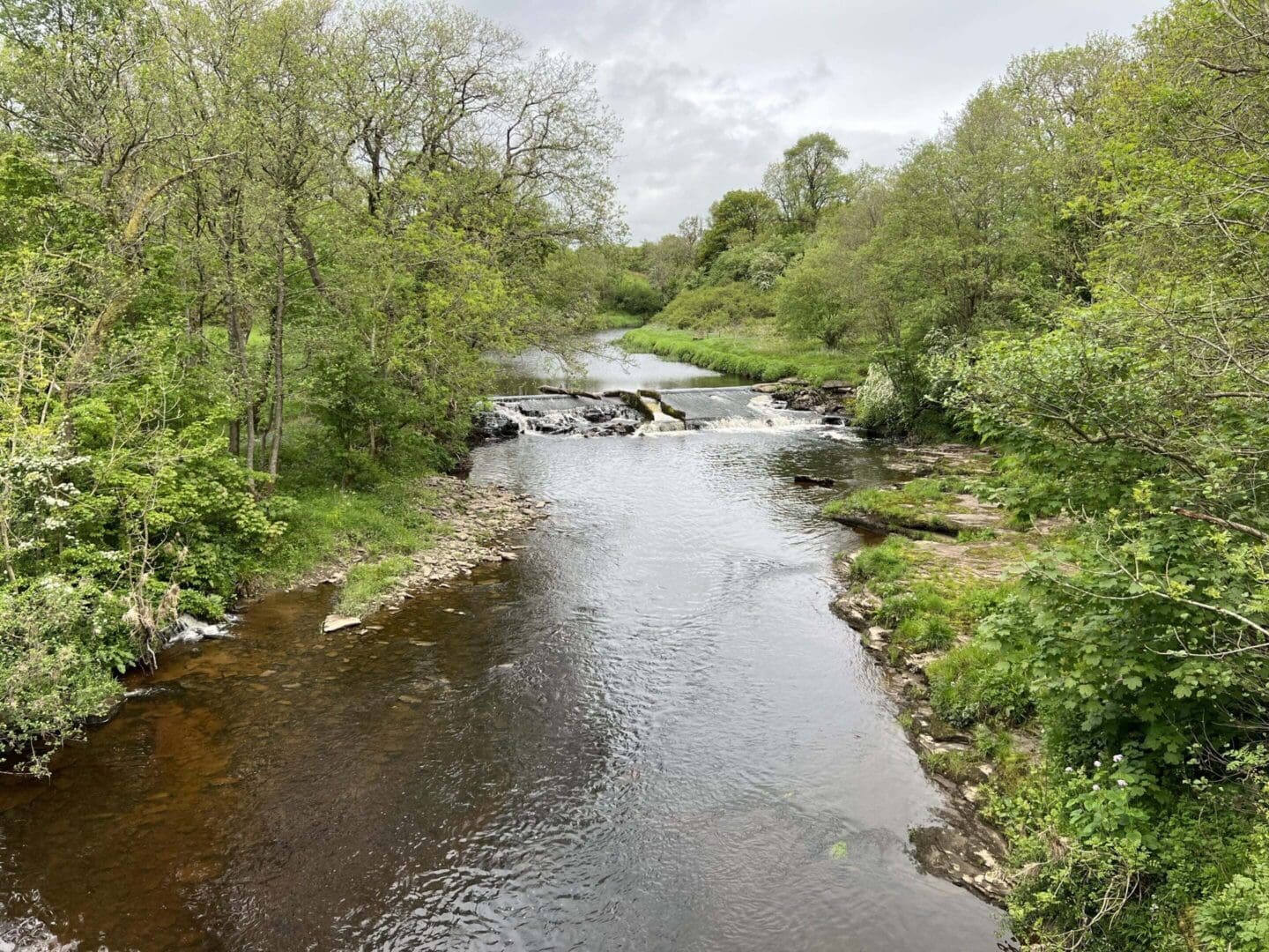 River with lush green trees surrounding it.
