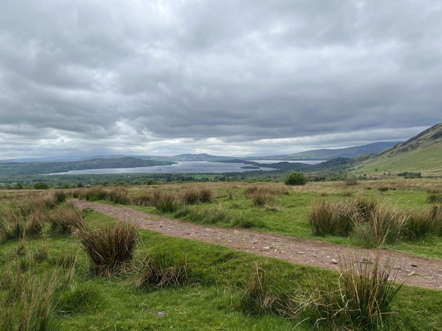 Scenic landscape with grassy path and lake.